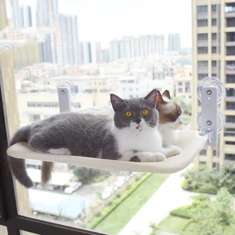 Cat Suction Cup Window Glass Hammock Pet Cat Pets Products Woodneed